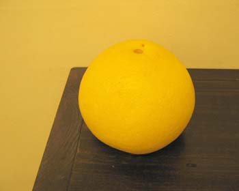 タンカン-2007-3-29