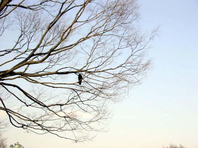 大泉学園　美容室