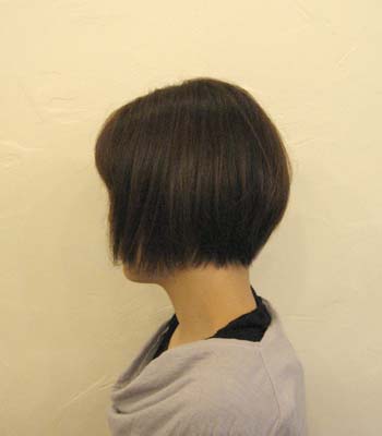 スガイさん
冬のボブ-2007-11-26