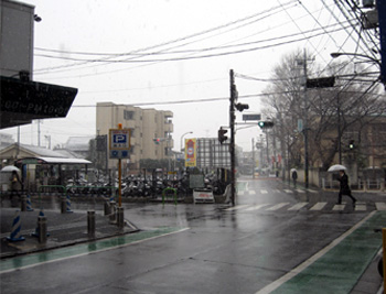 雪みたい-2008-1-23