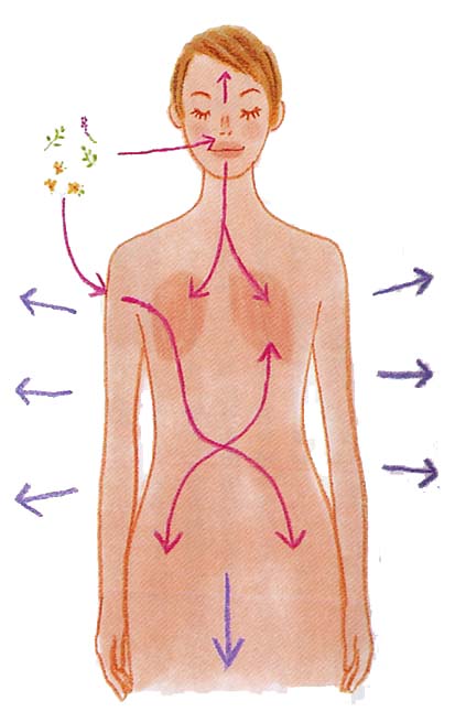 大泉学園 アロマ