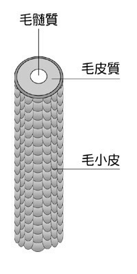 大泉学園　トリートメント