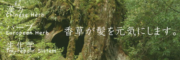 大泉学園　香草カラー