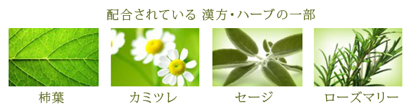 大泉学園　香草カラー