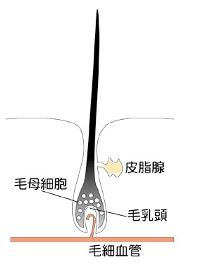 大泉学園　トリートメント