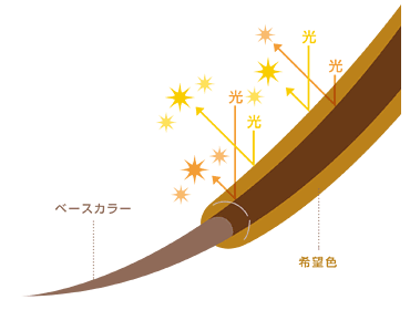 大泉学園　美容室　カラー